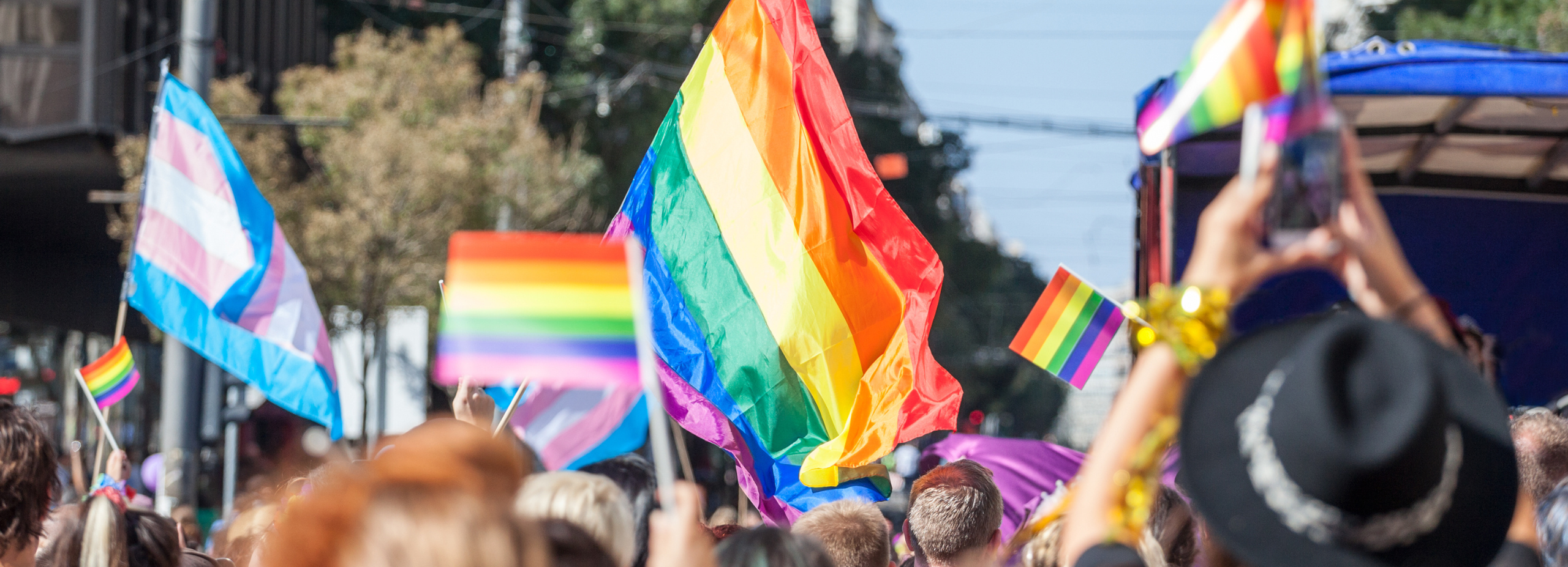 A group of people wave rainbow flags and flags representing transgender people at a parade. 