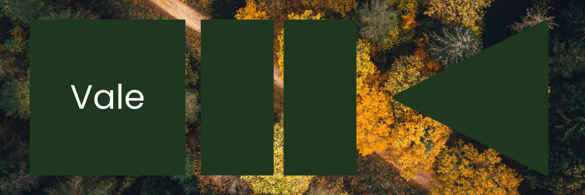 an autumn forest with a green square, pause, and triangle symbol over the top. The word 'Vale' is written in the square