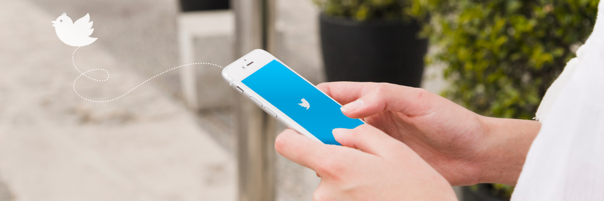 Photo of a person holding a white phone opened up to the Twitter app with a white graphic of a bird flying out of the phone