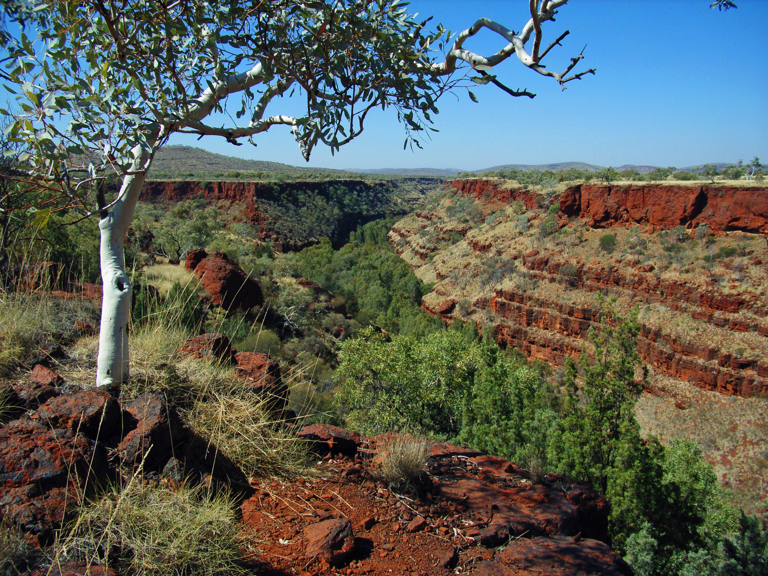 Karijini National Park, Pilbara Region, Western Australia, Dales Gorge. Gypsy Denise, CC BY-SA 4.0 via Wikimedia Commons.