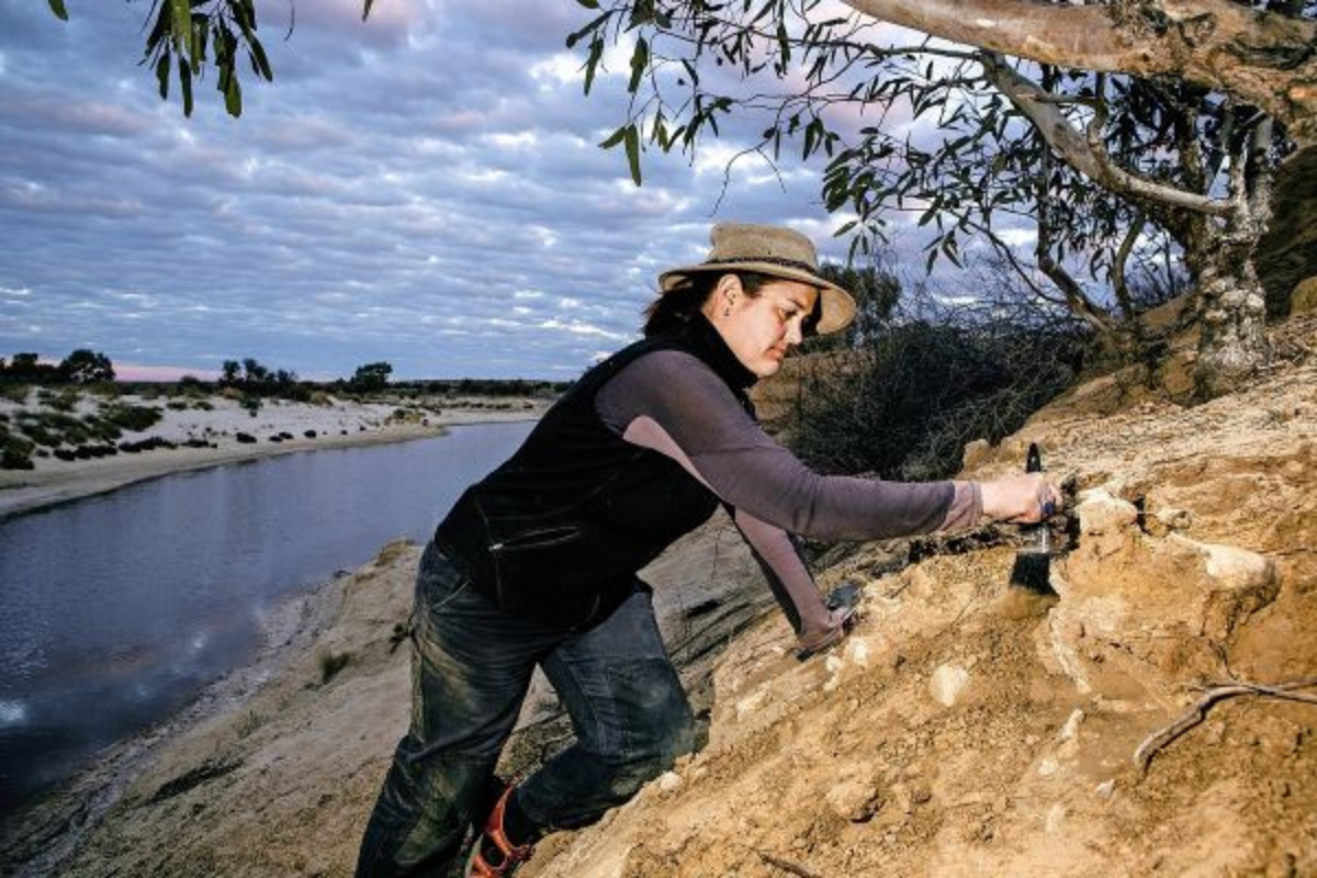A woman archaeologist excavates bones on a river bank